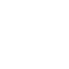 TikTok Icon